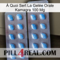 À Quoi Sert La Gelée Orale Kamagra 100 Mg viagra4